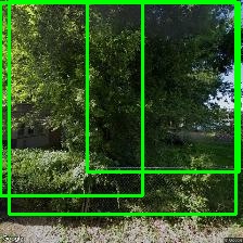 Object Detection Image