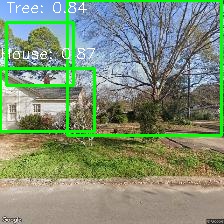 Object Detection Image