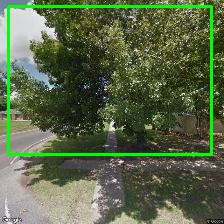 Object Detection Image