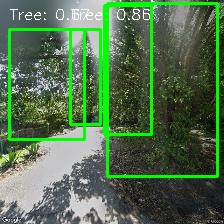 Object Detection Image