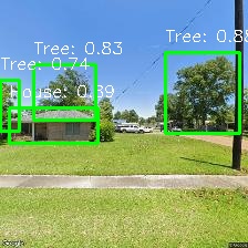 Object Detection Image