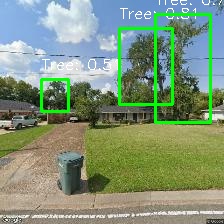 Object Detection Image