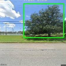 Object Detection Image