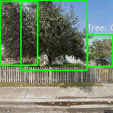 Object Detection Image