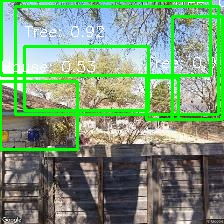 Object Detection Image