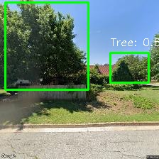 Object Detection Image