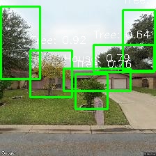 Object Detection Image