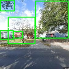 Object Detection Image