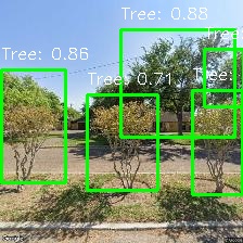 Object Detection Image