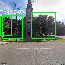 Object Detection Image