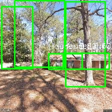 Object Detection Image