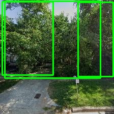 Object Detection Image