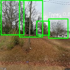 Object Detection Image