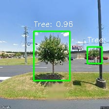 Object Detection Image