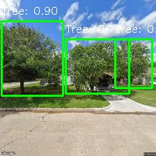 Object Detection Image