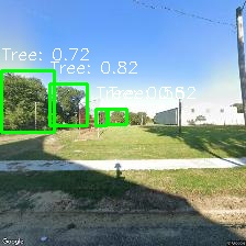 Object Detection Image