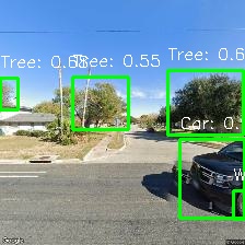 Object Detection Image