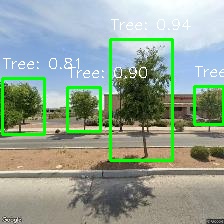 Object Detection Image