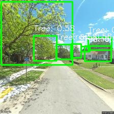 Object Detection Image