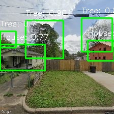 Object Detection Image