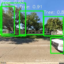 Object Detection Image