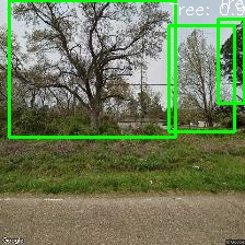 Object Detection Image