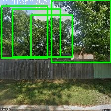 Object Detection Image