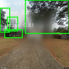 Object Detection Image