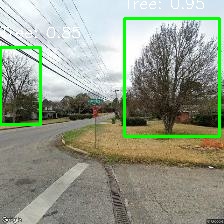 Object Detection Image