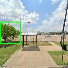 Object Detection Image