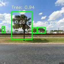 Object Detection Image