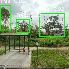 Object Detection Image