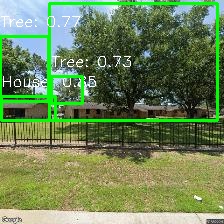 Object Detection Image