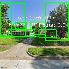 Object Detection Image