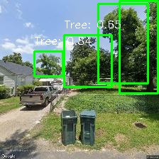 Object Detection Image