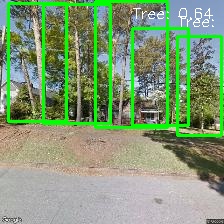 Object Detection Image