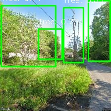 Object Detection Image