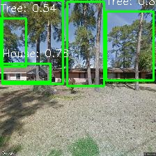 Object Detection Image