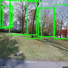 Object Detection Image