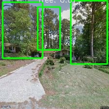 Object Detection Image