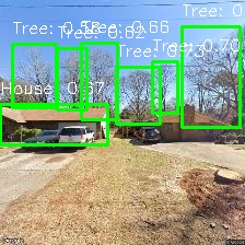 Object Detection Image