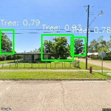 Object Detection Image