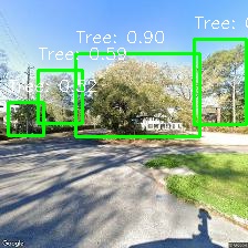 Object Detection Image