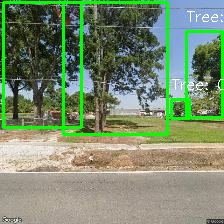 Object Detection Image