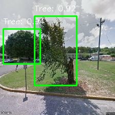 Object Detection Image