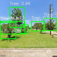 Object Detection Image