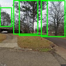 Object Detection Image