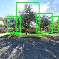 Object Detection Image