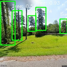 Object Detection Image