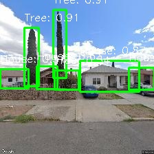 Object Detection Image